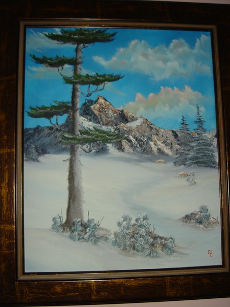 Trail into the mountains