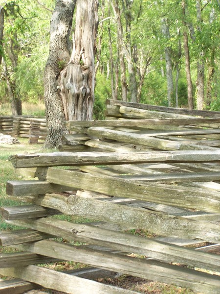 Slit rail fence
