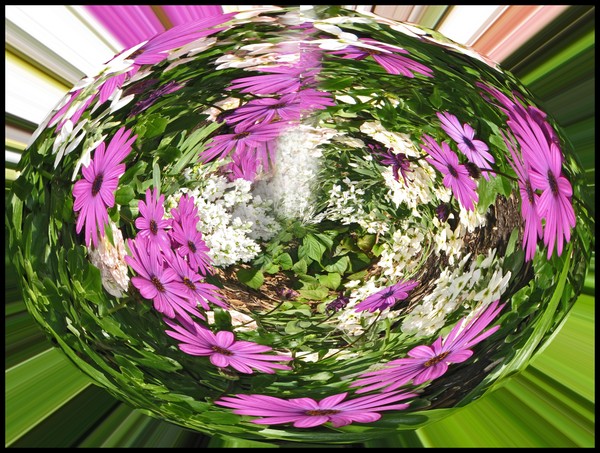 FLORAL FRENZY