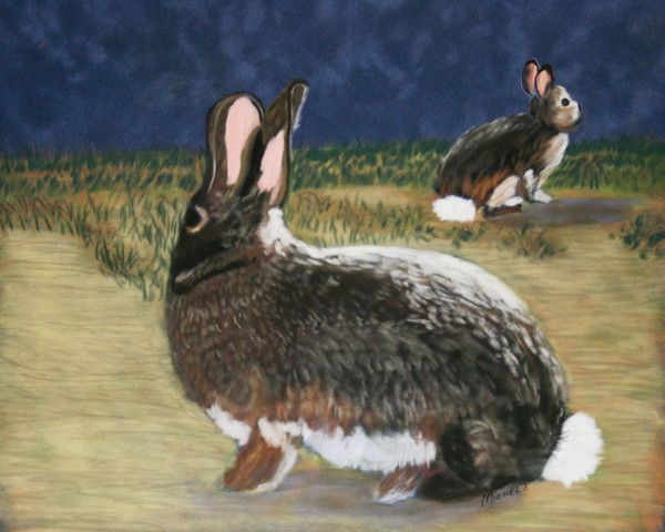 Cottontails