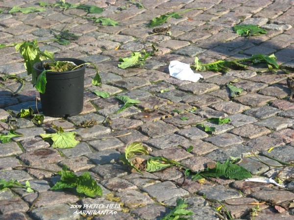 --whats left of the artwork II