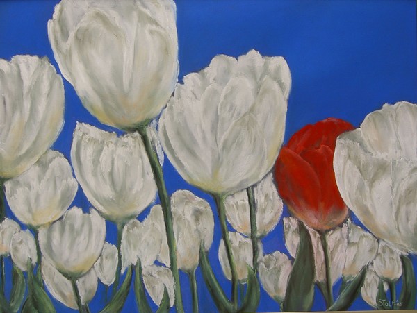 Tulips