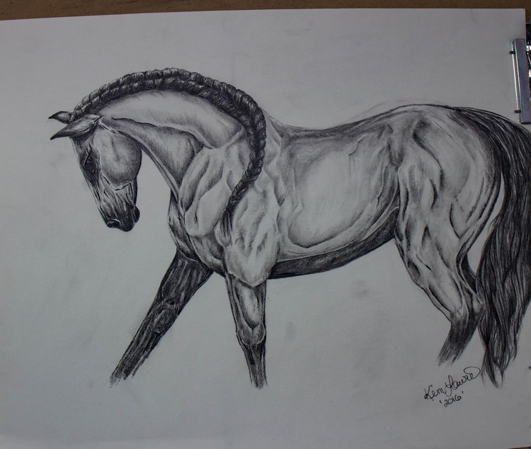 Horse1