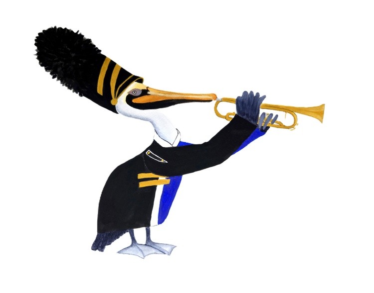 Trumpet playing pelican