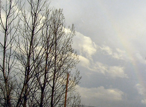After the storm