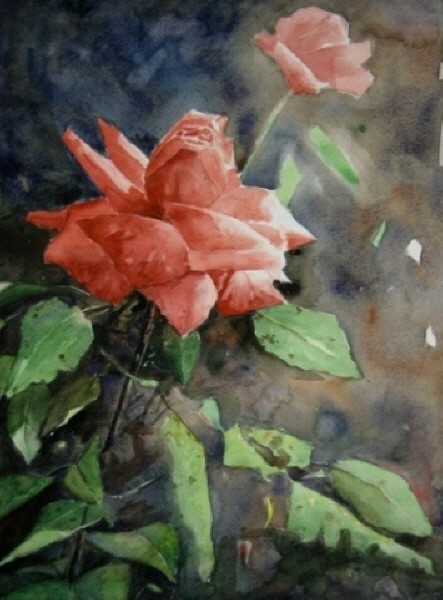 A Rose
