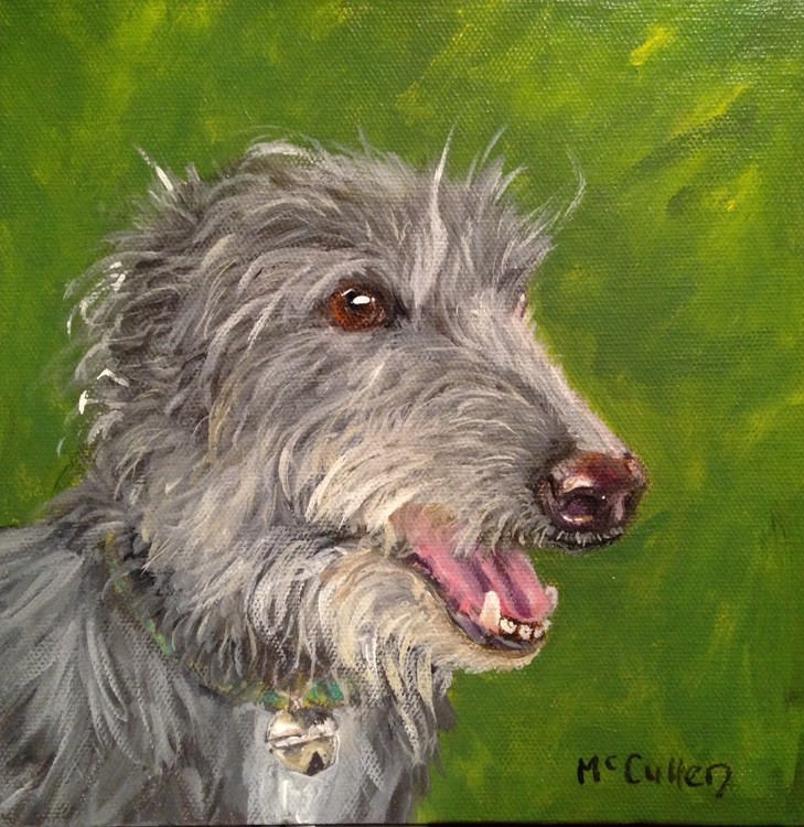 Emerald - the lurcher