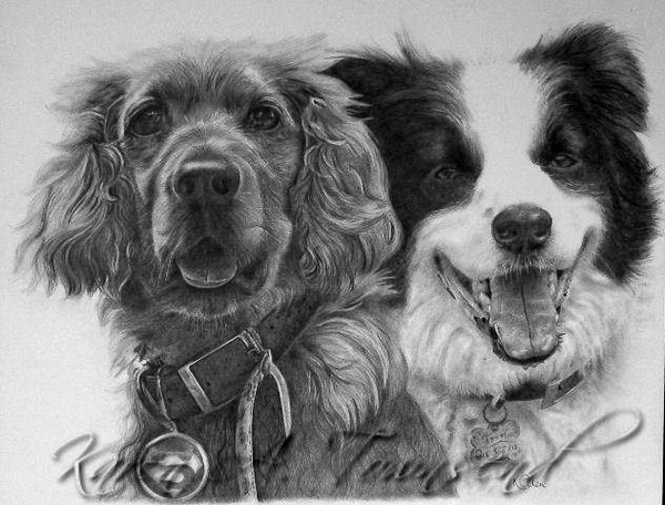 Buddies commission