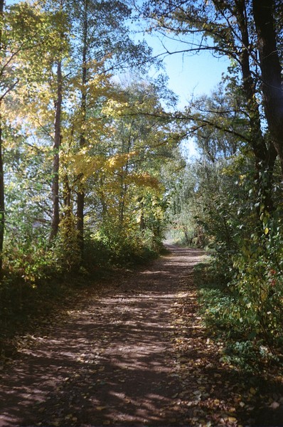 landscape from my village