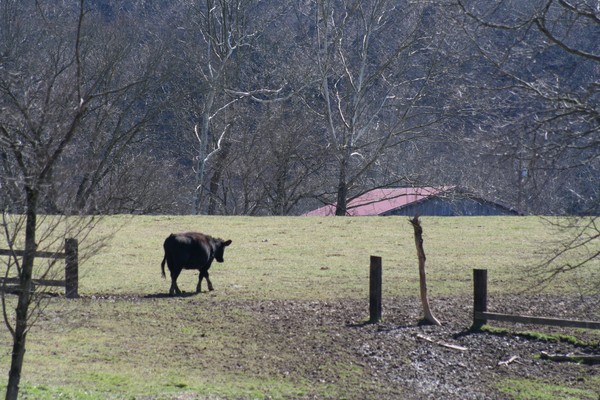 A long Walk