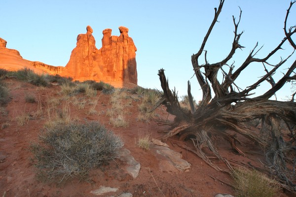 The Three Gossips at sunrise