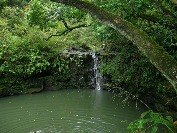 Maui Waterfall