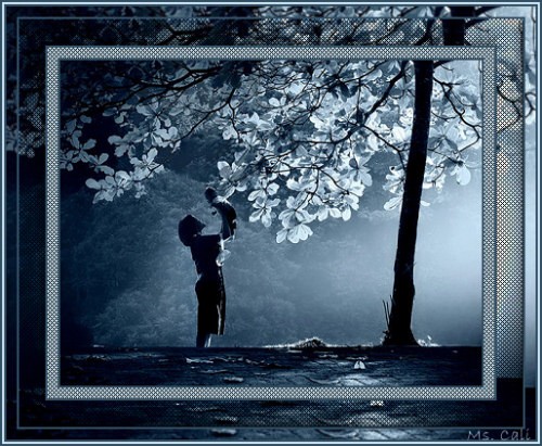 Screened Frame