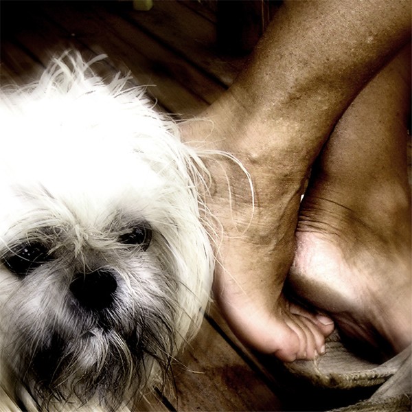dog and feet