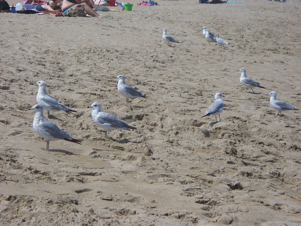 There's always one in the bunch