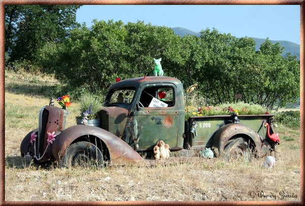 Classic Junk
