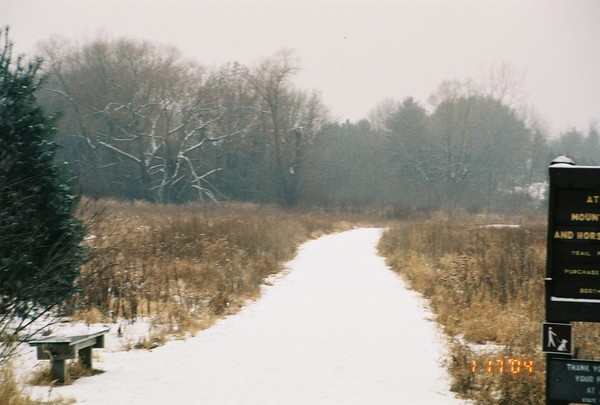 Winter Trail In Wisconsin Beach