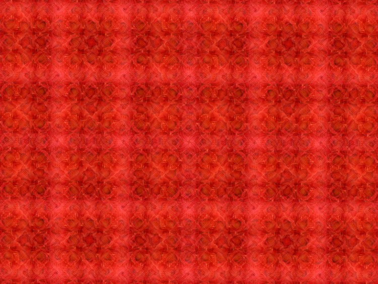 Digital Design 25