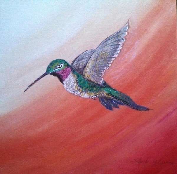 Hovering Hummingbird 2