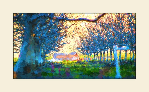 In The Orchard
