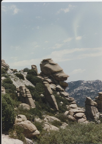 HELMUT DUCK ROCK