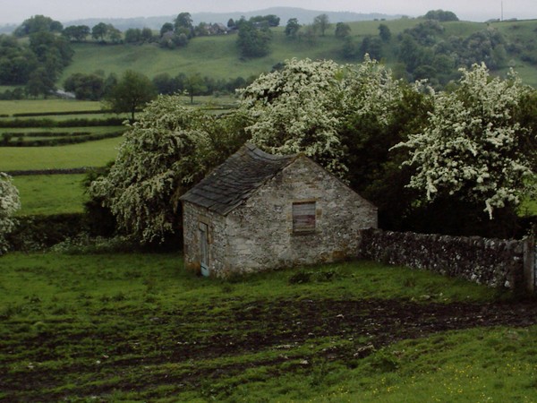 cottage