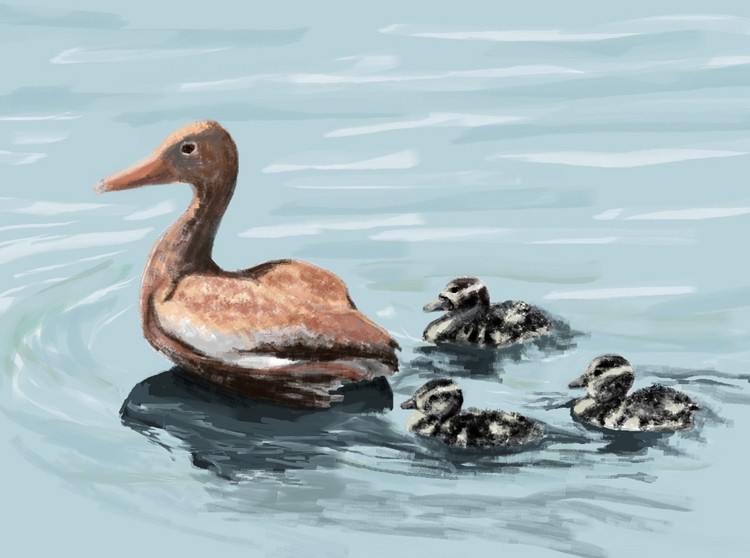 Family Excursion 12x16