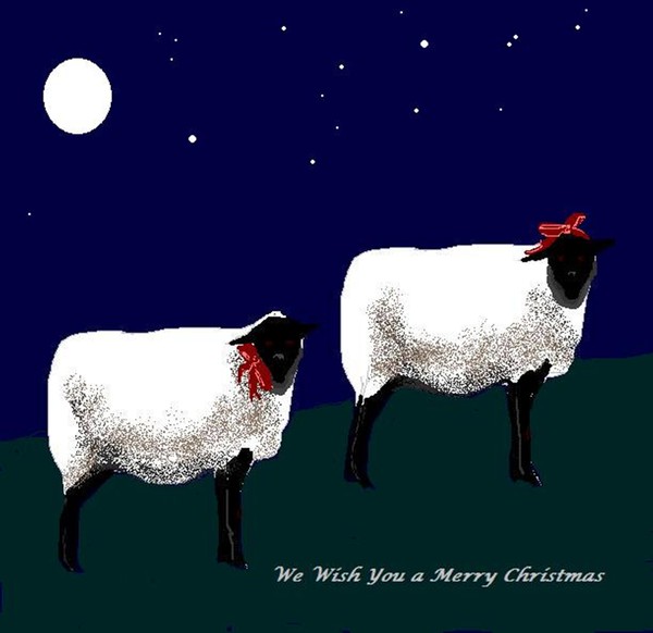 Christmas Sheep