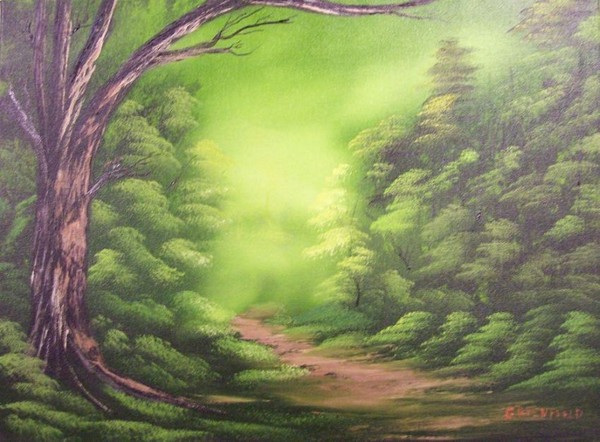 Forest Edge