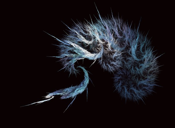 Brain