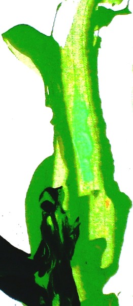 JACK AND THE BEANSTALK