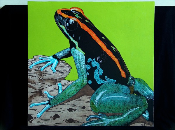 golfoduicean poison dart frog