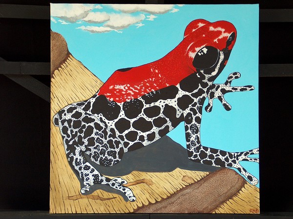 poison dart frog