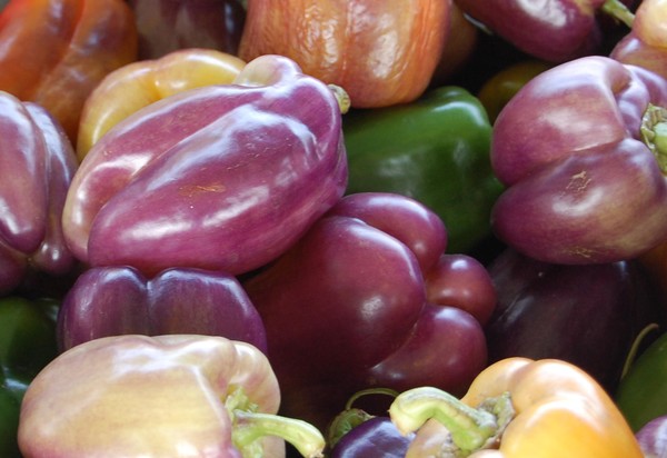 Purple Peppers