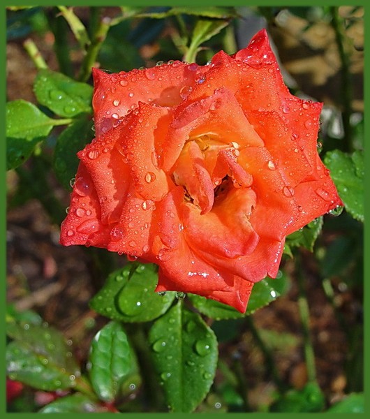 After The Storm