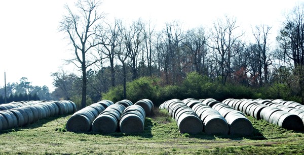 Round Bales