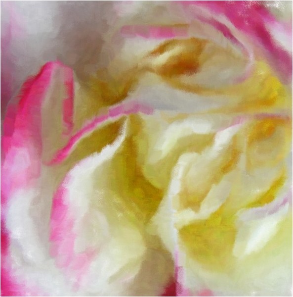 flowers 10