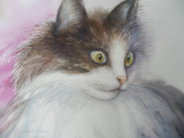 My cat Lulu