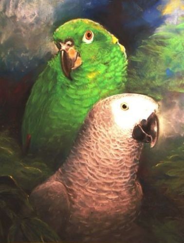 birds_big