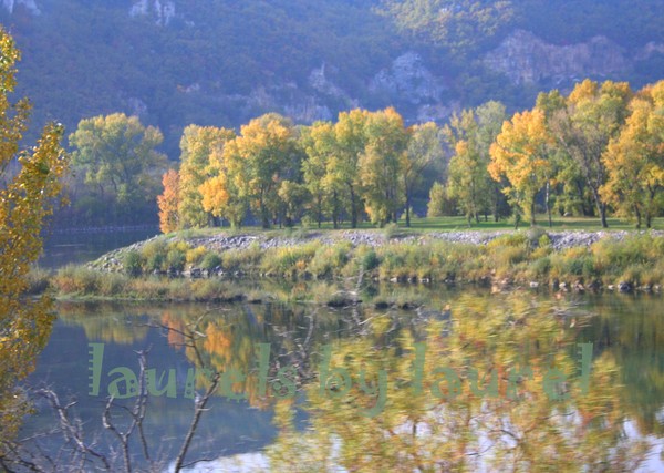 Autumn Reflections along the Rhone River