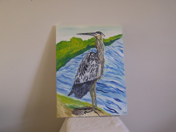 great blue heron