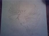 Flit, Pocahantas