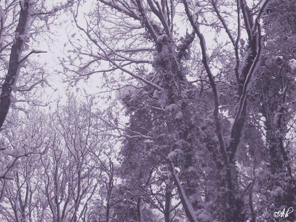 Snow...2