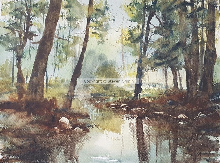 Sutton Park Watercolour Painting