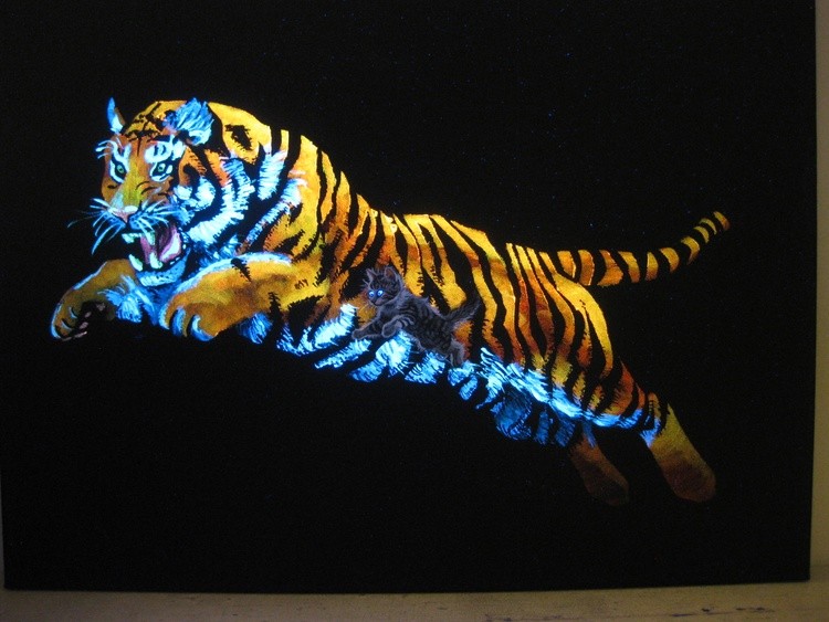 Kitten Dreams lights out 3