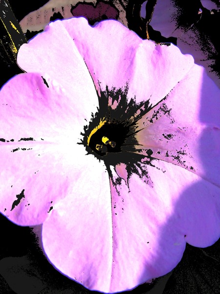 floral 7999