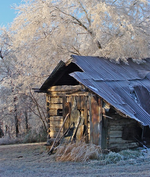 Mrs. Butler's Barn