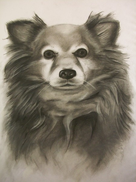 chiwawa