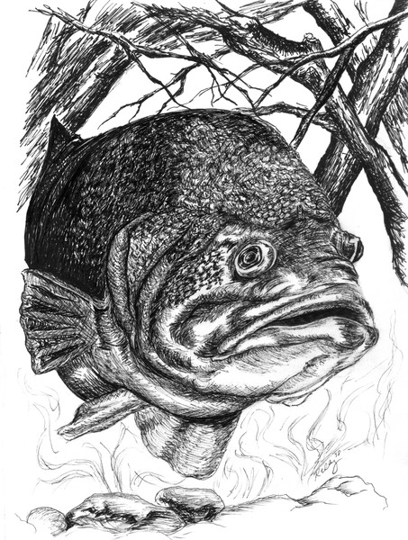 Large Mouth