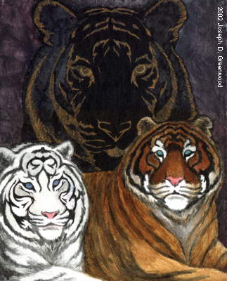 Three Tigers